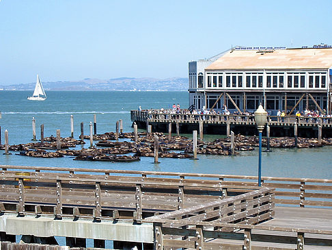 Fishermans Pier 39 bis 45 - Kalifornien (San Francisco)
