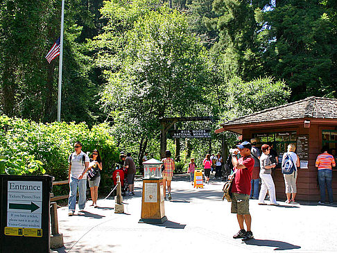 Muir Woods Bildansicht von Citysam  
