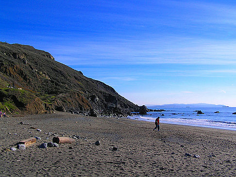 Muir Woods Impressionen Sehenswürdigkeit  