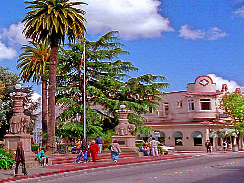 Rancho Del Sausalito Fotografie Attraktion  in San Francisco 