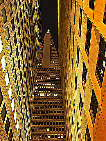 Fotos Transamerica Pyramid | San Francisco