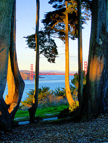 Fotos Palace of the Legion of Honor