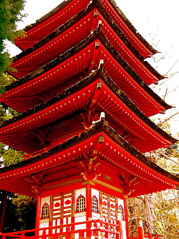 Foto Japanese Tea Garden