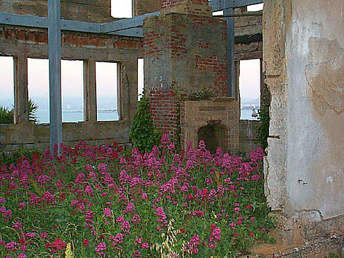 Foto Alcatraz Island