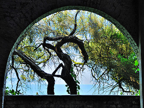 Alcatraz Island Fotos