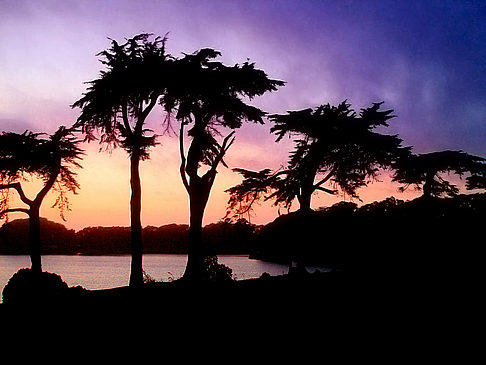 Harding Park Foto 