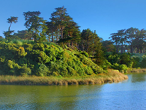 Harding Park