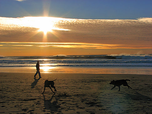 Ocean Beach Foto 