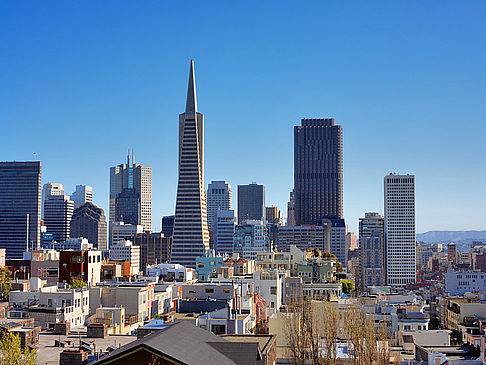 Telegraph Hill Foto 