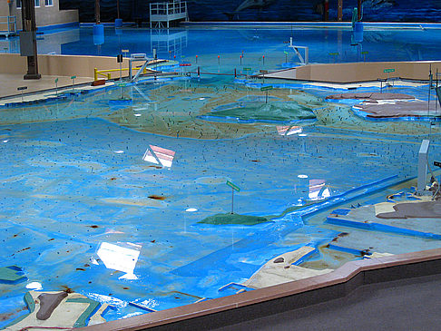 Bay Model Visitor Center Fotos